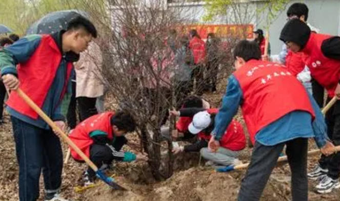 想考个社工证在哪报名社工证呢-想考社工证报名处