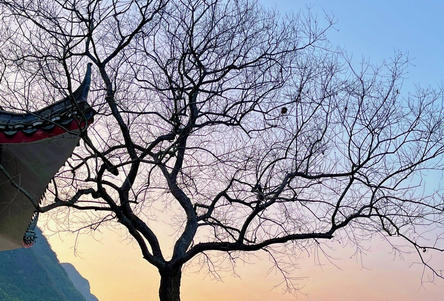 宜春心理咨询师报名条件-宜春心理咨询师报名条件