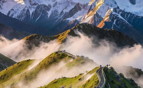 在双鸭山心理咨询师证多少钱-双鸭山心理咨询师证价格