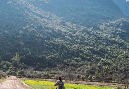 张家口心理咨询师证培训机构-张家口心理咨询师证培训