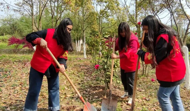 重庆助理社会工作师考试需要什么条件及要求-重庆助理社工考试条件及要求